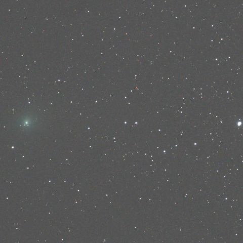 久しぶりのジャック彗星