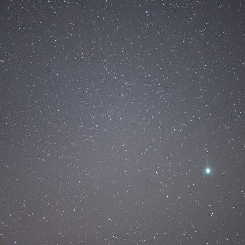 尾がはっきり見える１２月２３日のラブジョイ彗星