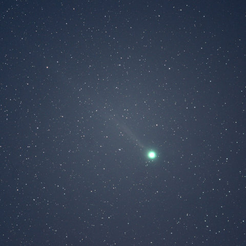 １月８日のラブジョイ彗星