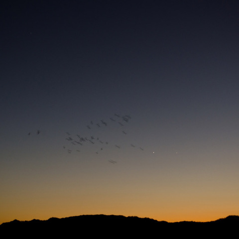 11月26日の夕焼けに並ぶ土星・金星・木星（左から）