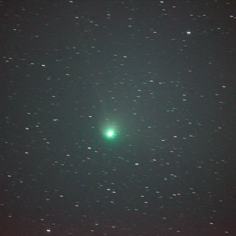 ズィーティーエフ彗星（C/2022 E3）2023/01/31