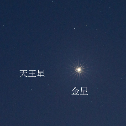 金星と天王星の接近　２月16日
