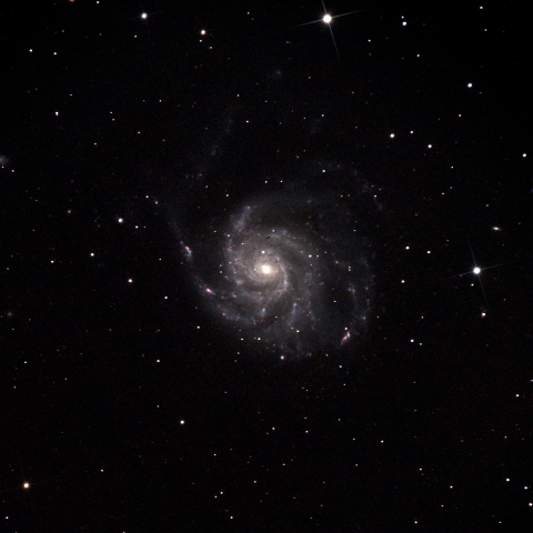 M101 回転花火銀河