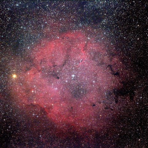 IC1396