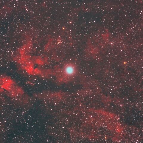 はくちょう座サドルの星雲