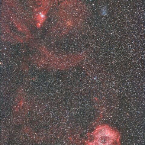 バラ星雲とクリスマスツリー星団