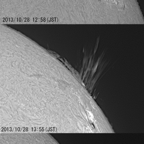 サージプロミネンス