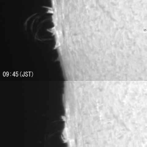 ポストフレアーループ