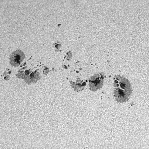 Sunspots AR2339