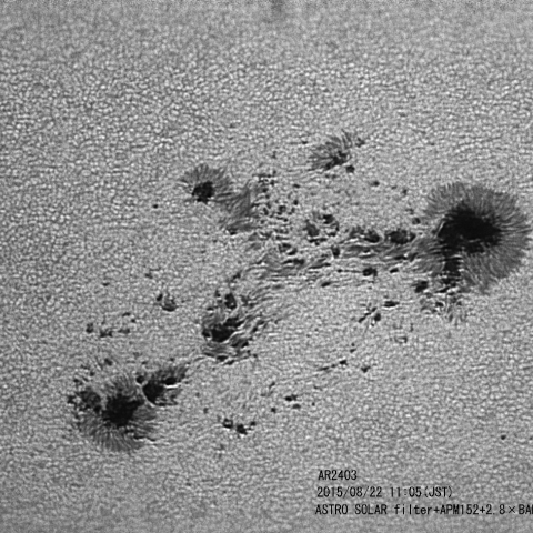 sunspot AR2403
