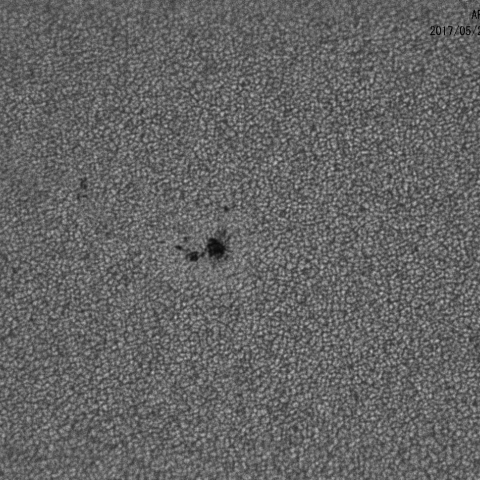 太陽黒点AR2659と粒状斑