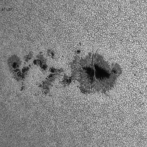 7月9日の黒点AR2665