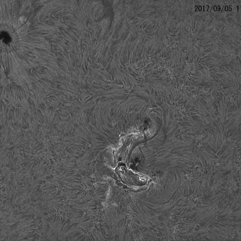 黒点AR2673のHα像