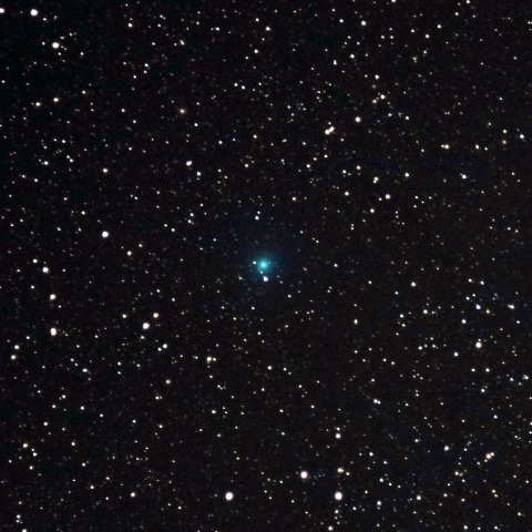 11月14日のレモン彗星