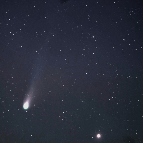 ポン・ブルックス彗星とハマル