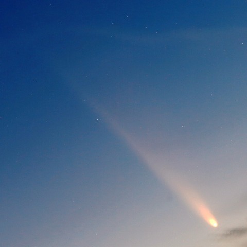 10月13日の紫金山・アトラス彗星