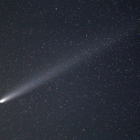 10月23日の紫金山・アトラス彗星