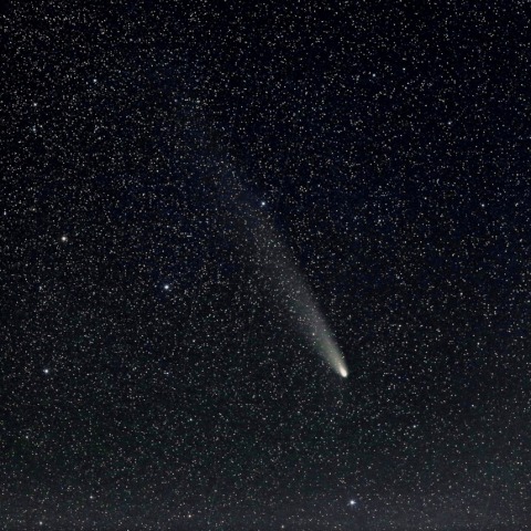 10月30日の紫金山・アトラス彗星