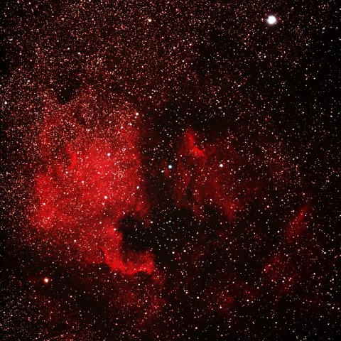 北アメリカ星雲とペリカン星雲