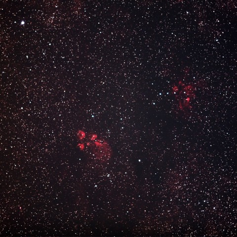 出目金星雲と彼岸花星雲