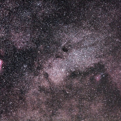 オメガ星雲を見つめるバンビの横顔