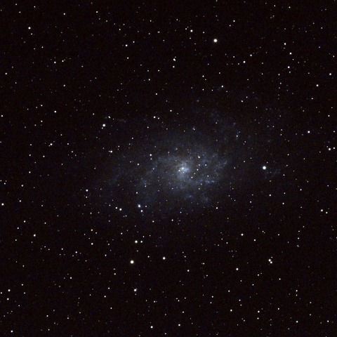 M33
