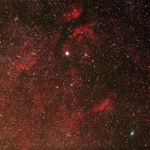 白鳥座Γ(サドル)付近を往くｼﾞｬｯｸ彗星