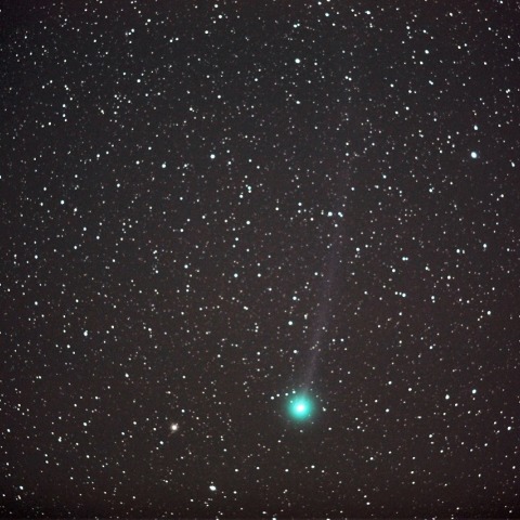 M79に接近したラブジョイ彗星