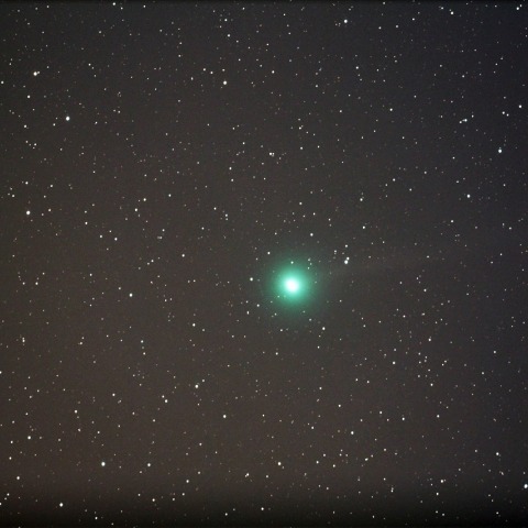 大みそかのラブジョイ彗星（C/2014 Q2)