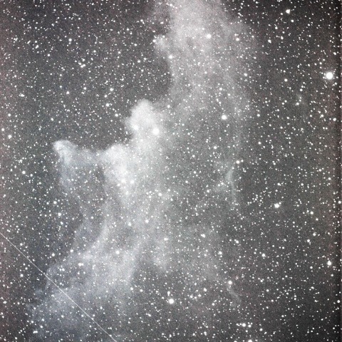 魔女の横顔星雲 