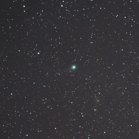 明けの空に見えるようになったラブジョイ彗星 （C/2014 Q2）