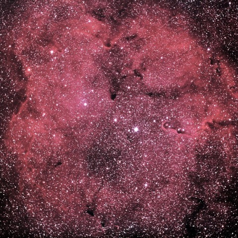 IC1396