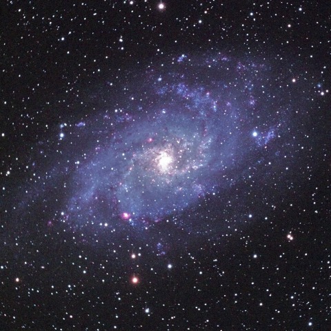 M33