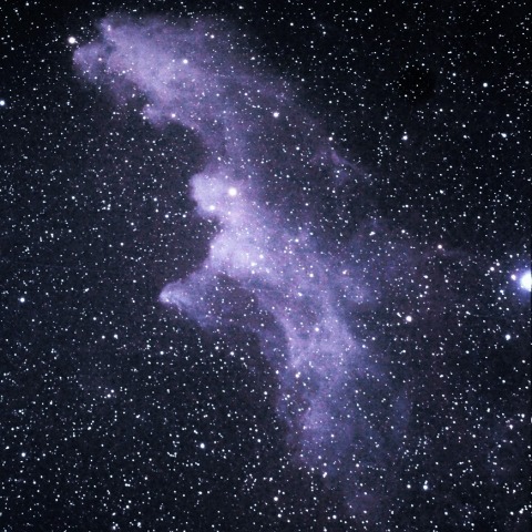 魔女の横顔星雲