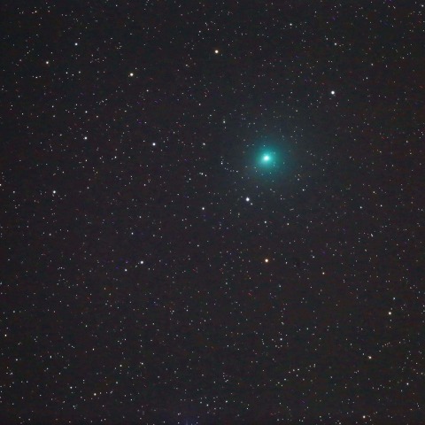 タットル・ジャコビニ・クレサーク彗星