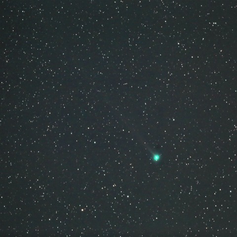 ラヴジョイ彗星