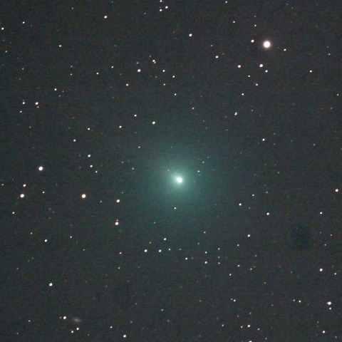 ウィルタネン彗星(46P)