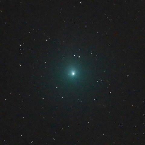 12月2日のウィルタネン彗星(46P)