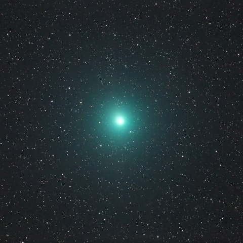 12月16日のウィルタネン彗星(46P)