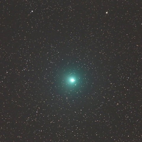 12月19日のウィルタネン彗星(46P)