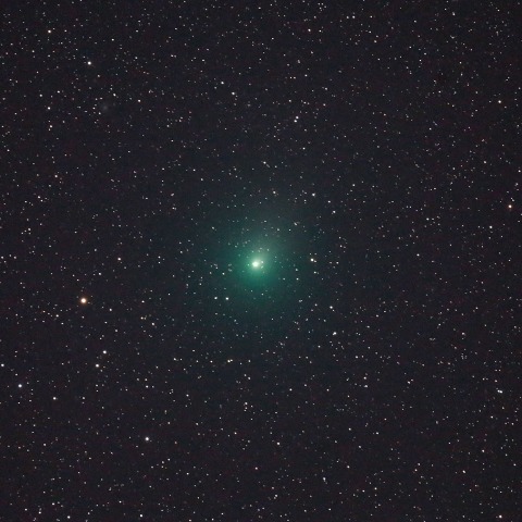 大晦日のウィルタネン彗星(46P)