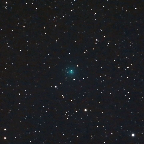 1月13日の岩本彗星