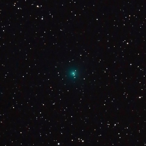 1月19日の岩本彗星