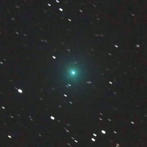 1月30日の岩本彗星