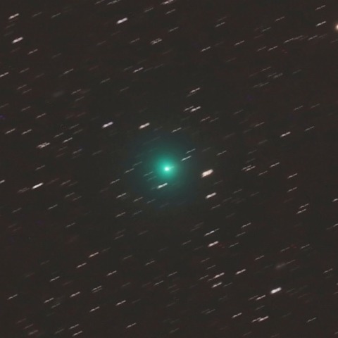 2月2日の岩本彗星