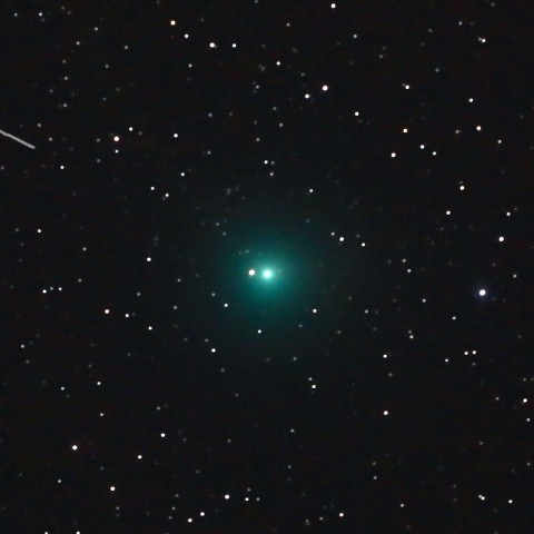 2月12日未明の岩本彗星