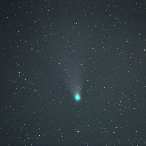 8月14日のネオワイズ彗星