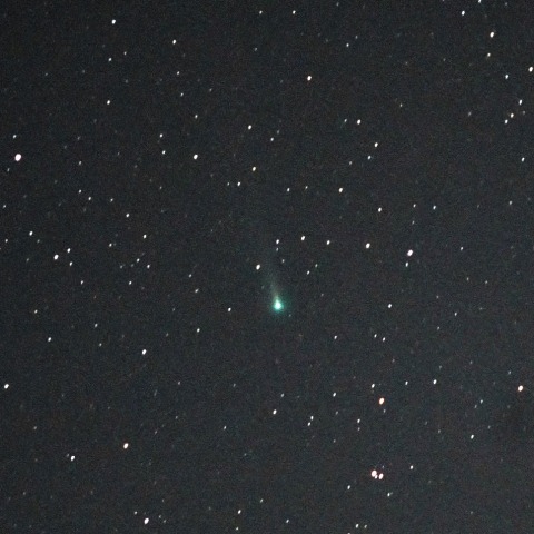 11月30日未明のレナ―ド彗星