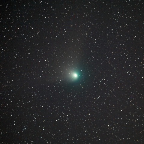 ZTF彗星(2月１日）