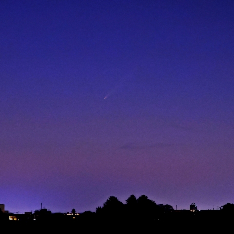 紫金山・アトラス彗星（2024_10_02)